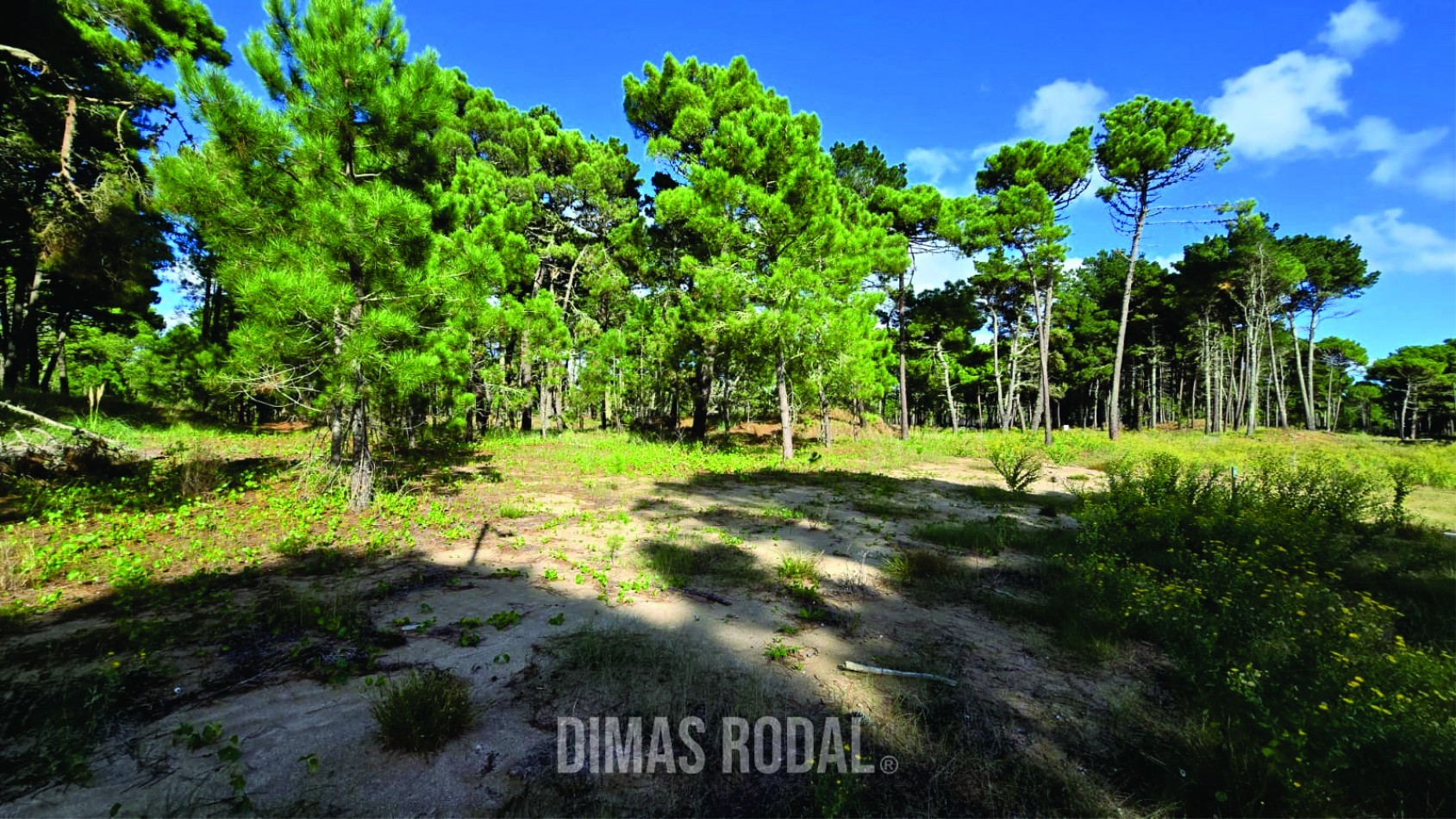 OPORTUNIDAD Lote en Venta Barrio Bosques Pinamar